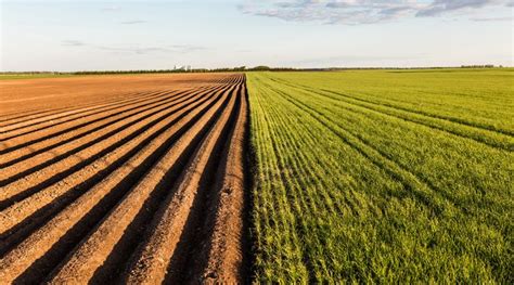 L agriculture de conservation une solution à la dégradation des sols