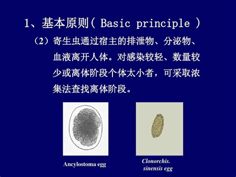 寄生虫病诊断、流行、防治与临床资料文档之家