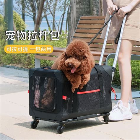 Dodopet Pet Trolley Bag Dog Walking Out Luggage Cat Folding Cage