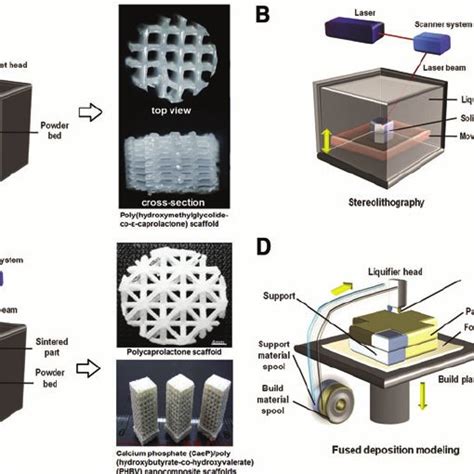 PDF Three Dimensional Scaffolds For Tissue Engineering Applications