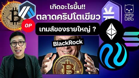 ข่าวคริปโต แผนรายใหญ่ ทำตลาด Pump Altcoin พุ่ง Solana Inj Alex