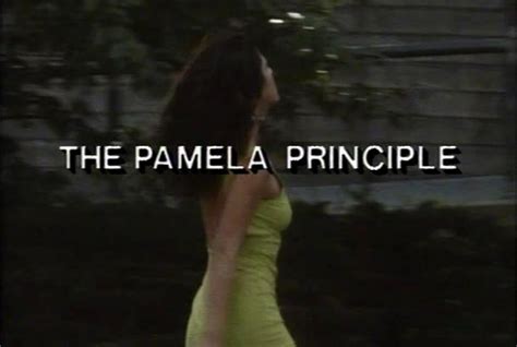 The Pamela Principle 1992