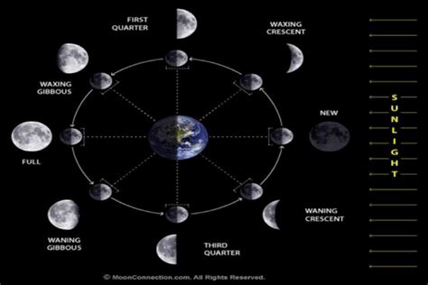 Things to know about Moon Phases and tides