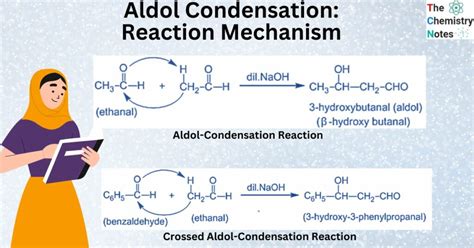 Aldol Condensation Definition Reaction Mechanism