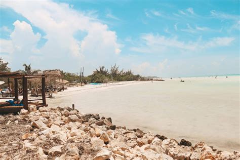 Comment Se Rendre Isla Holbox Mexique En Depuis Cancun Playa