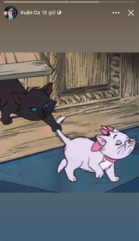 Xuân Ca bị nghi đá xéo CiiN trừu tượng nắm đuôi mèo giữa lúc CiiN bắt trend Hot KOLs Đời