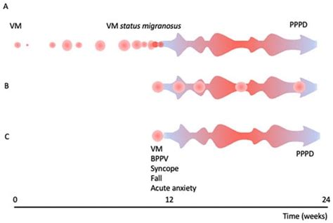 Brain Sciences Free Full Text Whats In A Name Chronic Vestibular