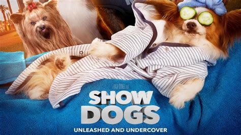 SHOW DOGS (2018) Video Reviews