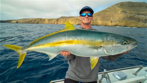 Huge California Yellowtail Catch Clean Cook California Deep Sea