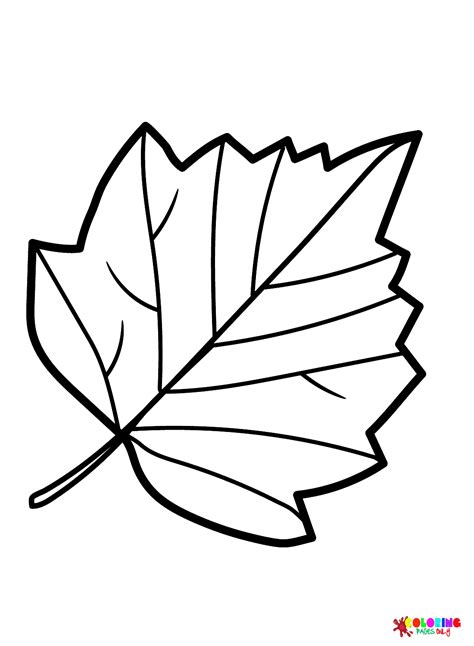 56 Leaves Coloring Pages