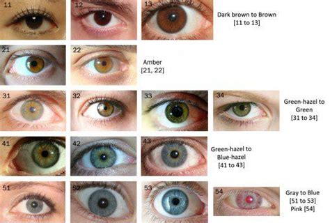 Types Of Eyes Color