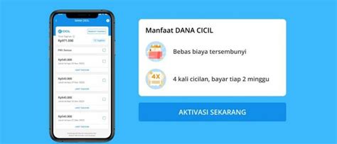 Cara Daftar Dana Paylater Dan Syaratnya Agar Langsung Acc