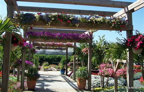 33 Best Pergola Ideas and Designs You Will Love in 2017