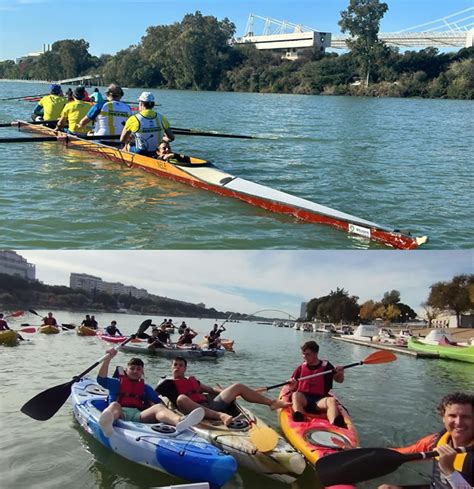 Parque Del Alamillo El Club De Remo San Jer Nimo Organiza Un Campus