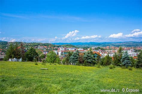 Город Лозница