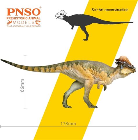 Paquicefalossauro Dinossauro Pnso