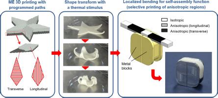 4D Printing Using Anisotropic Thermal Deformation Of 3D Printed