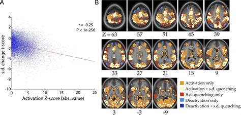 Spontaneous And Task Evoked Brain Activity Negatively Interact