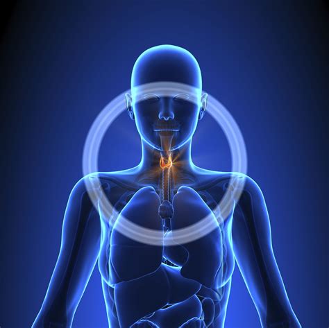 Thyroid Cancer: Signs, Symptoms, and Complications