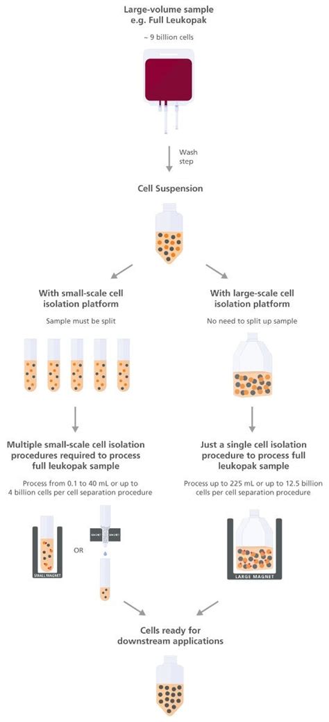 Efficiently Isolate Cells From Large Volume Samples Stemcell Technologies