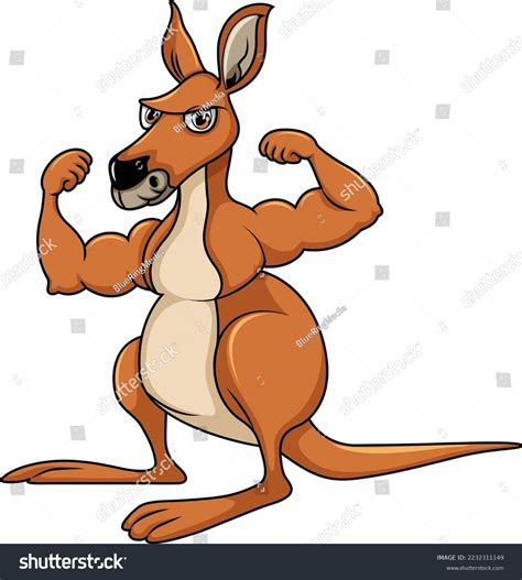 Red Kangaroo Muscles