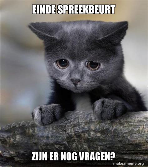 Einde Spreekbeurt Zijn Er Nog Vragen Confession Cat Meme Generator