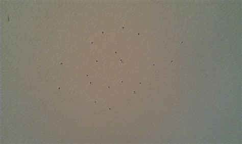 Tiny Holes In Ceiling