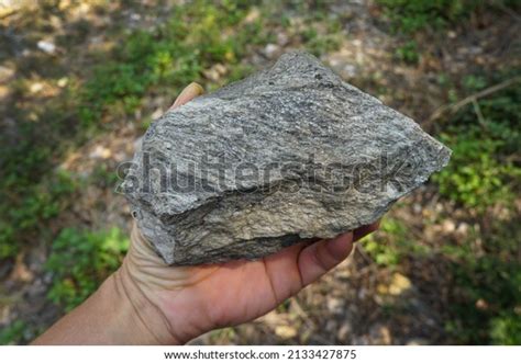 Hand Geologist Holding Raw Specimen Gneiss Stock Photo 2133427875