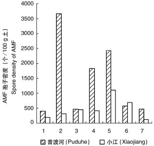 AMF Spore Density Of The Same Plants In The Two Different Sampled Sites