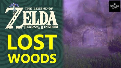 Zelda Totk Lost Woods Mist How To Get Through Lost Woods Mist In