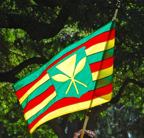 File:Kanaka Maoli flag.jpg