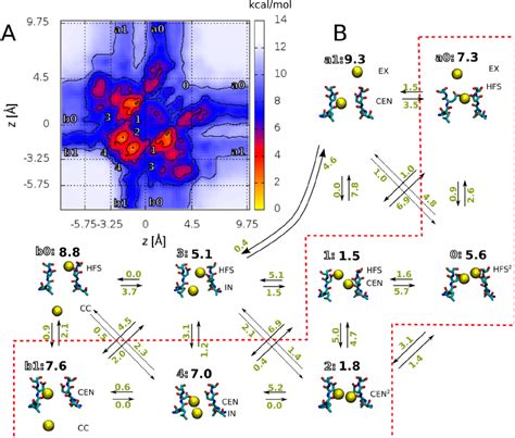 Two Ion Conduction Mechanism A Symmetrized Projection Of 4 D Free