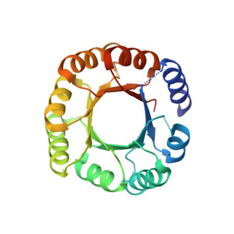 RCSB PDB 5BVL Crystal Structure Of A De Novo Designed TIM Barrel