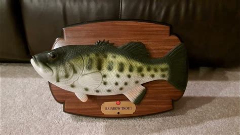 Rainbow Trout Singing Fish Youtube