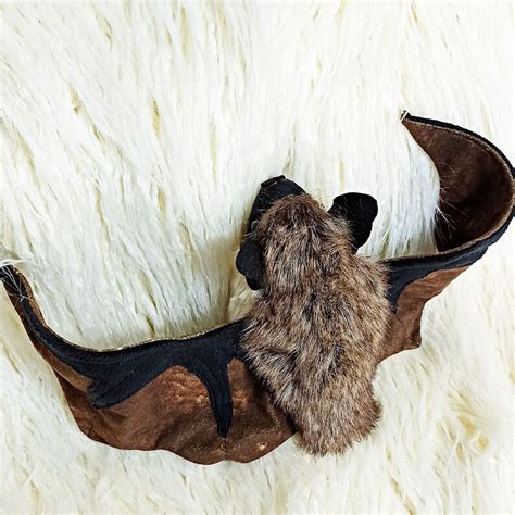 Bat Plush Bat Stuffed Animal Realistic Bat Bicolor Kozhan - Etsy