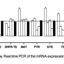 Relative Quantification Using RT QPCR Of MRNA Expression Of 12 Genes In