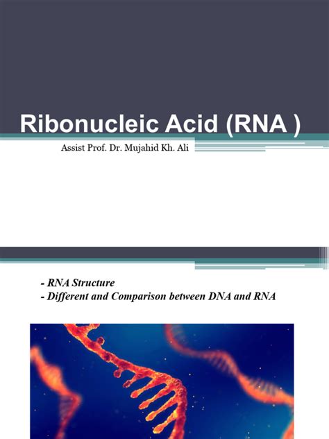 Ribonucleic Acid Rna 1 Pdf Rna Dna