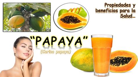 LA PAPAYA PROPIEDADES Y BENEFICIOS PARA LA SALUD YouTube