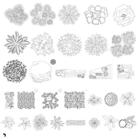 Cad Exterior Vegetation Top View Dwg Toffu Co Landscape Architecture