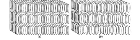 Schematic Of A Smectic Phase Where The Liquid Crystal Molecules Are Download Scientific Diagram