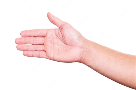 Premium Photo Hand Isolated On White Background