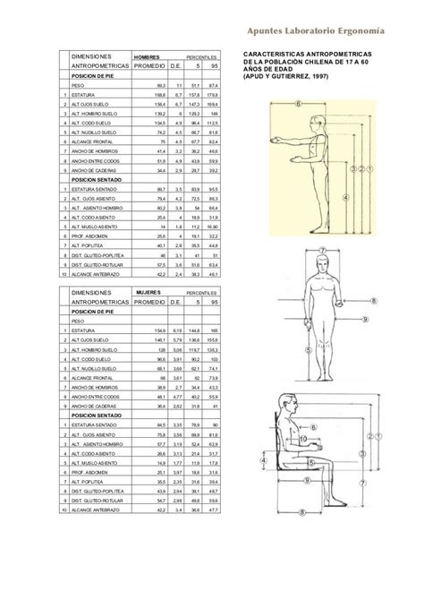 Dimensiones Antropometricas