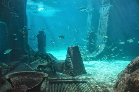 Атлантида - красивые картинки (98+ фото) • Позитивные картинки