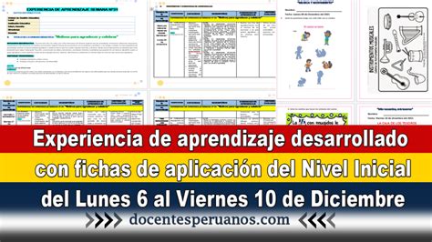 Experiencia de aprendizaje desarrollado con fichas de aplicación del