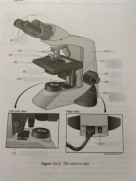 Microscope Diagram Diagram Quizlet