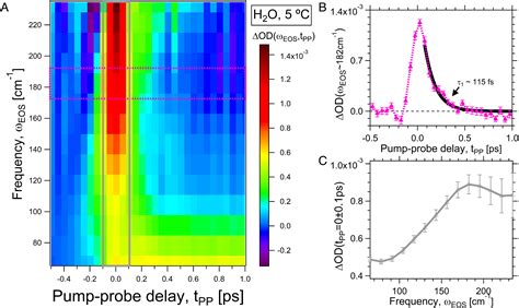 The Birth And Evolution Of Solvated Electrons In The Water Pnas