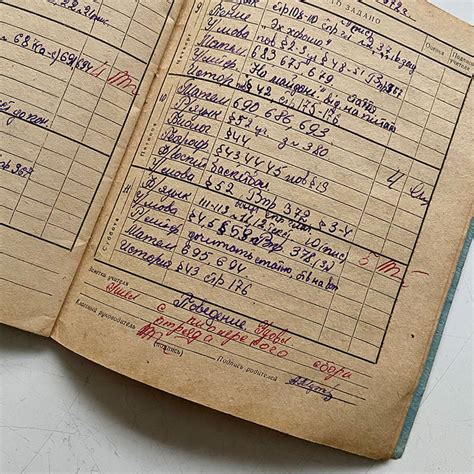 School diary, Alexandr, Ukrainian SSR, 1971-1972 – OBLOMOV ART
