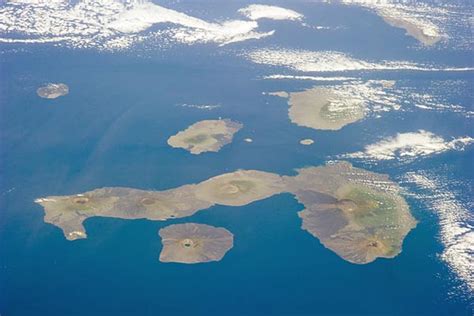 Flora y fauna de las islas Galápagos: principales especies