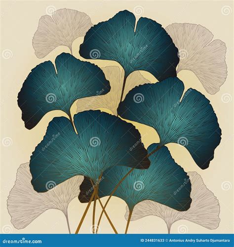 Ginkgo Biloba Leaf Isolated On White Background Hand Drawn Leaves