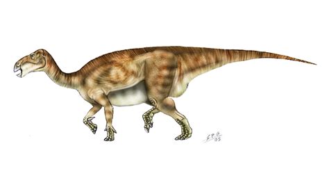 Iguanodon Dinosaurussen